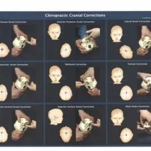 Cranial Corrections Chart (S Williams)