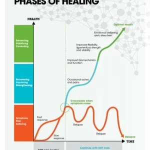 SOT Phases of Healing Chart