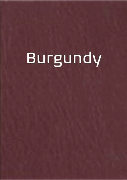 Cranial Board - Image 2